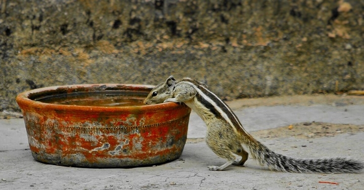 drink some water