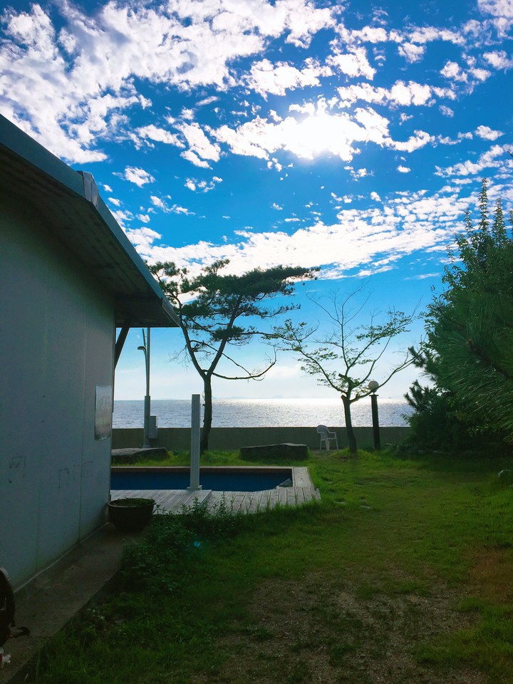 A yard with sea and sky