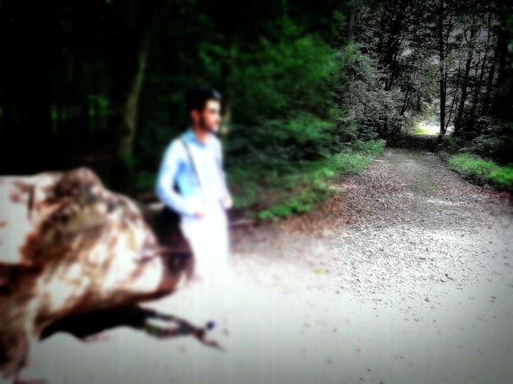 dream ways...