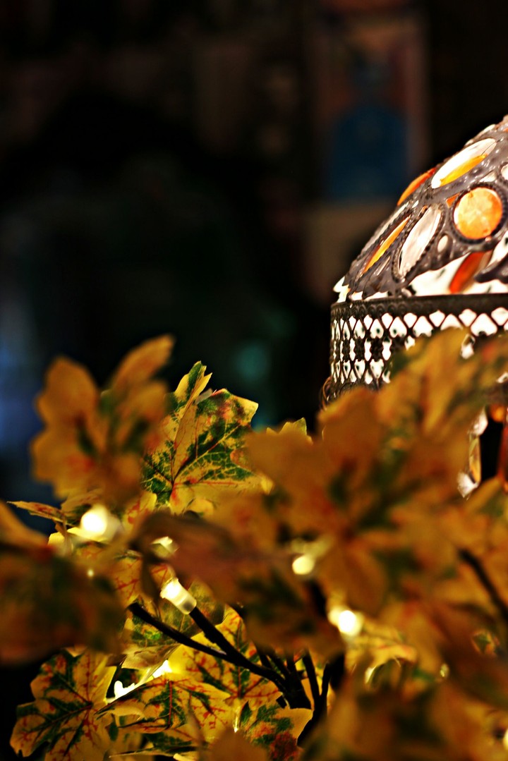 Luces de bohemia