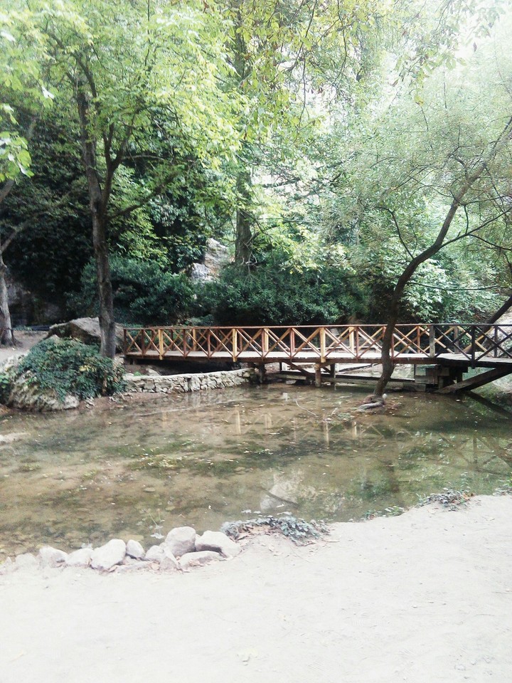 bayou