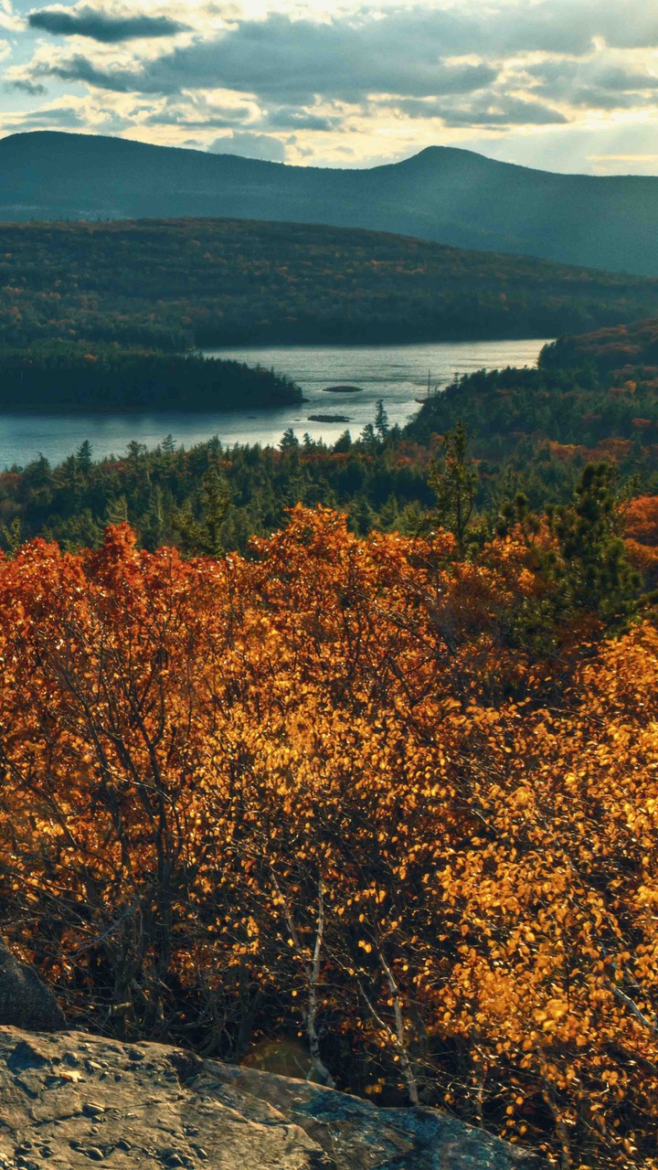 NATURE..