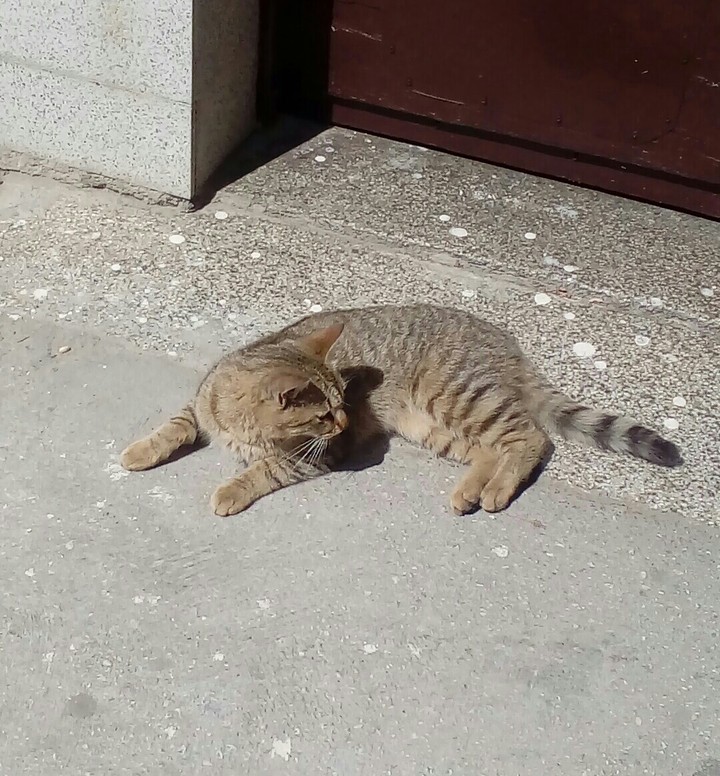 What are you looking at? ;-)