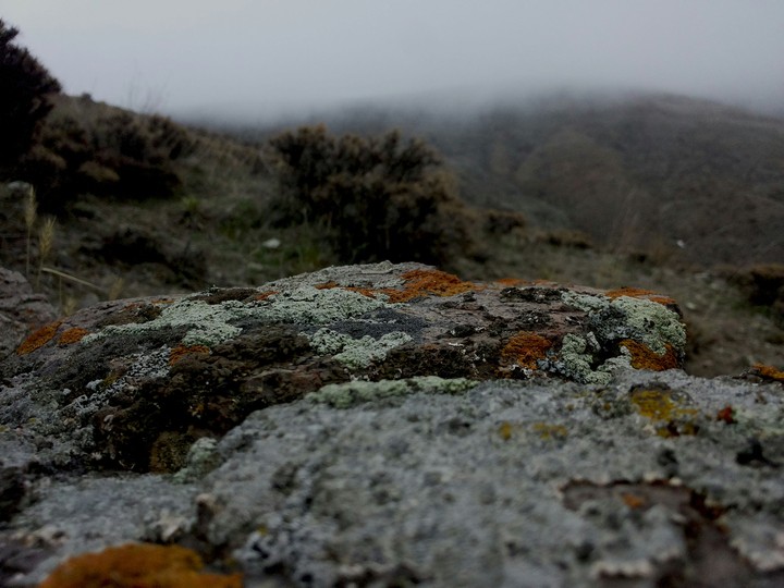 foggy weather