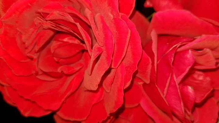 rouge