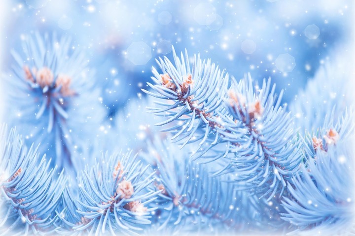 winter