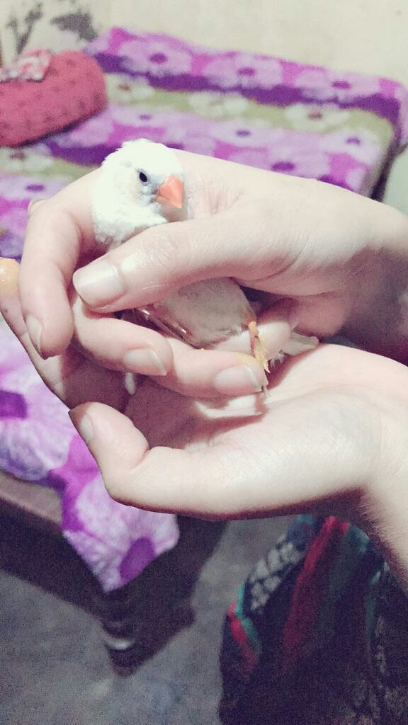 sweet moment