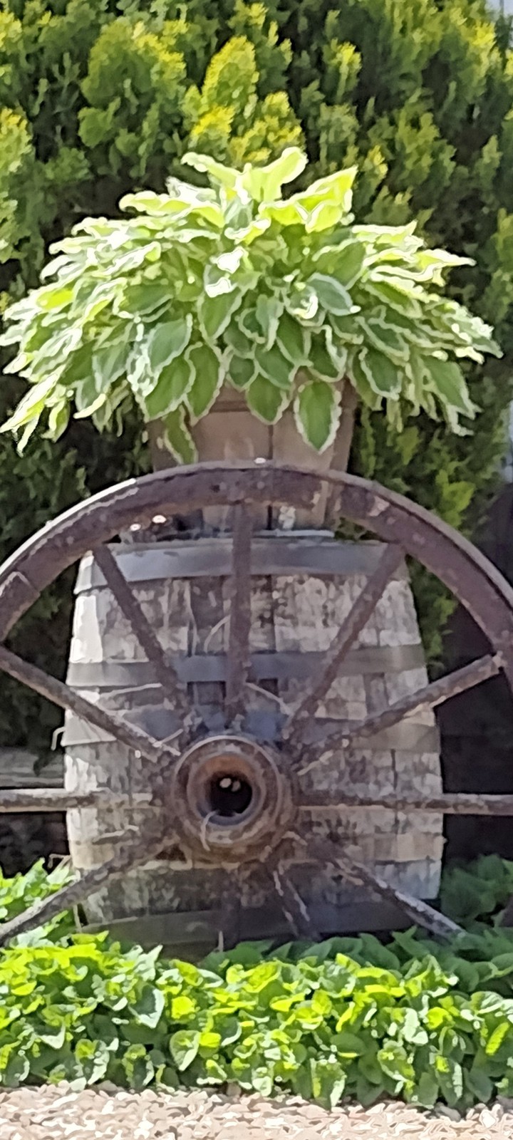 Wagon wheel Decoration