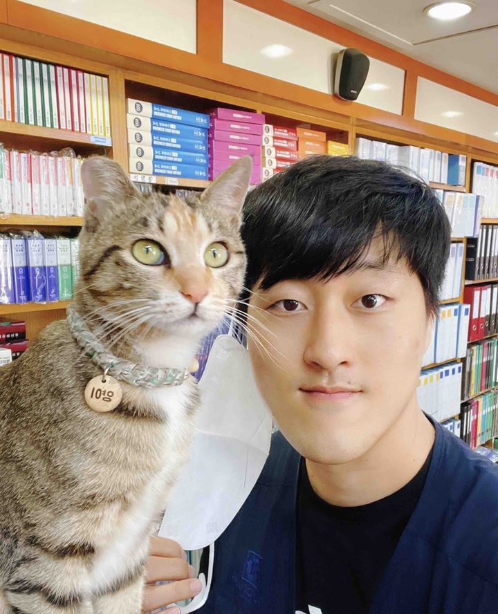 양이와 나