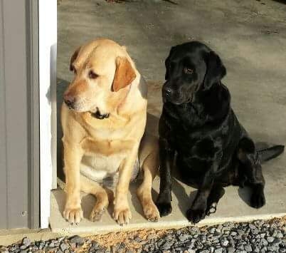 Sophie & Jess