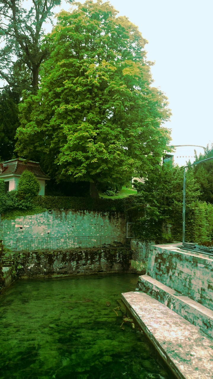 STAMATIOS