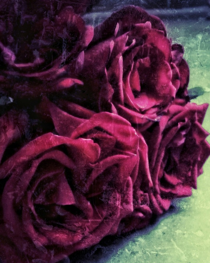 A Start with roses...