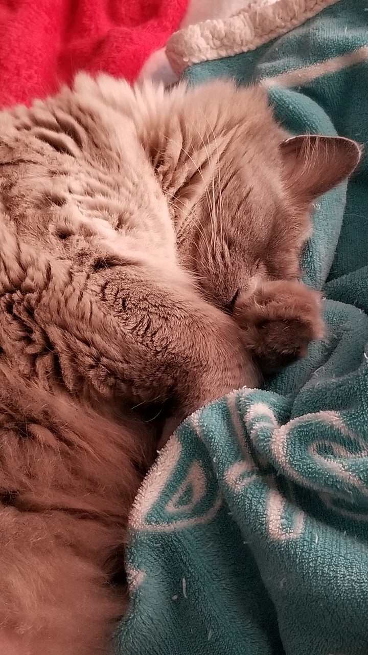 Too cute