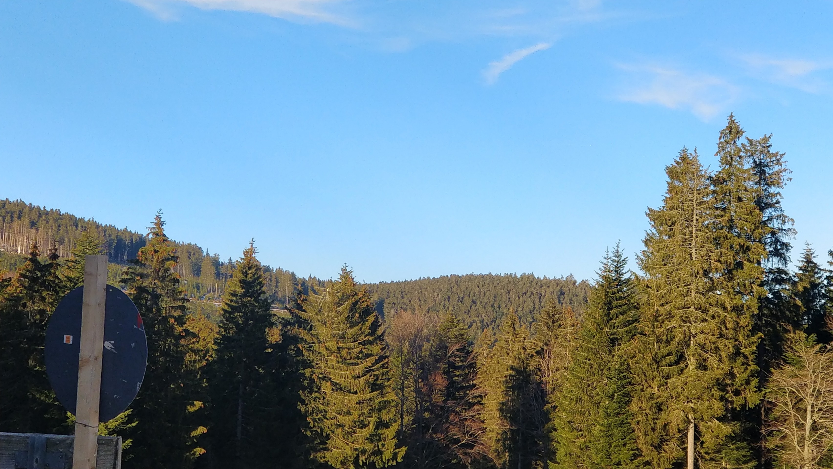 nature, vegetation Hintergrundbilder