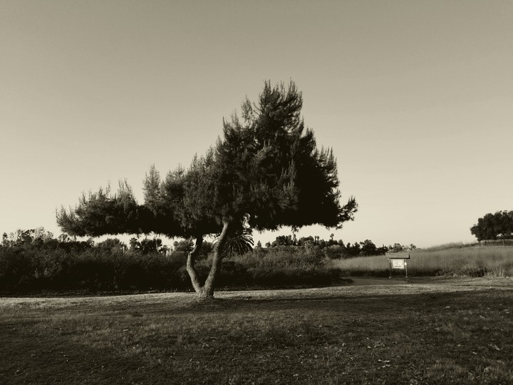 lonely