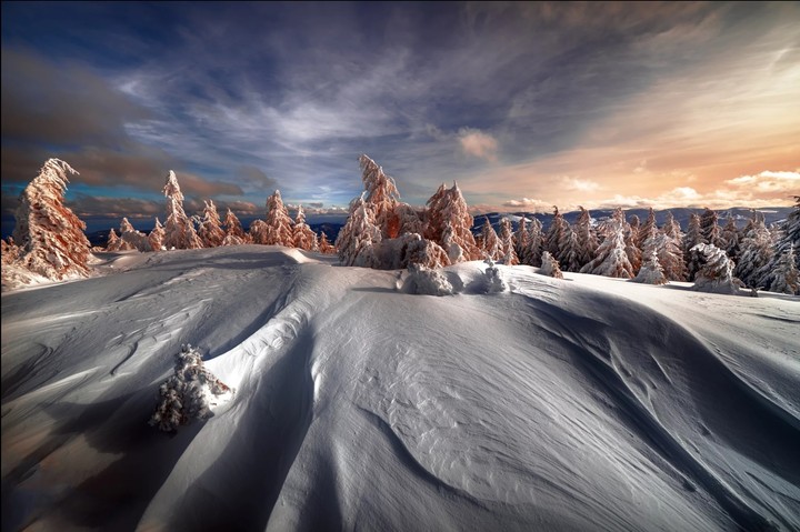 Winter