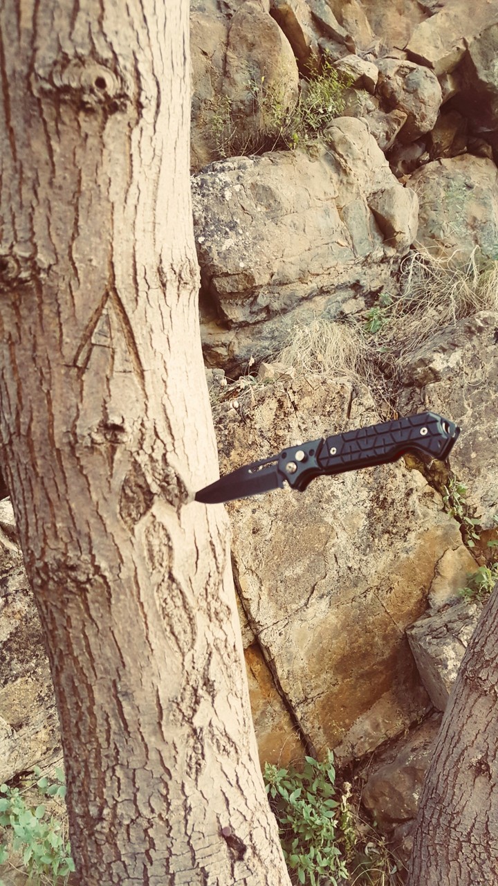 Messer am Baum