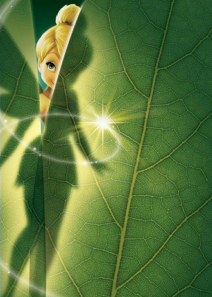 Behind the leaf