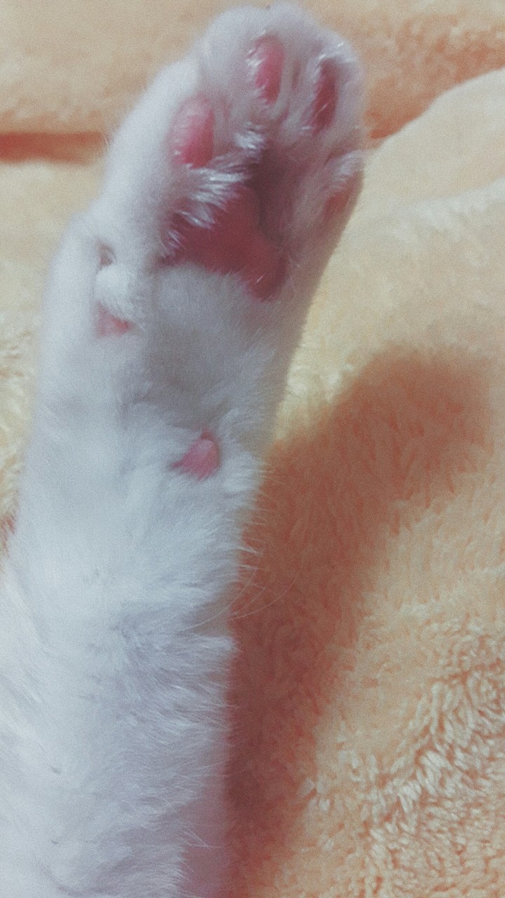 pure