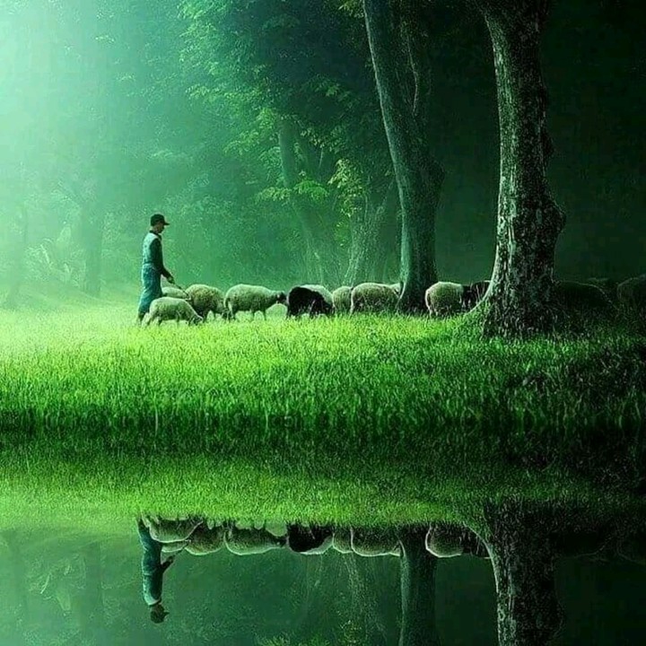 reflection