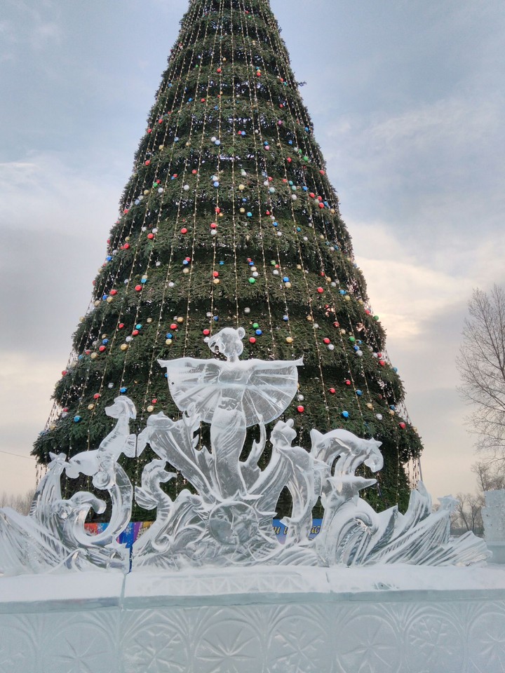 Fir-tree