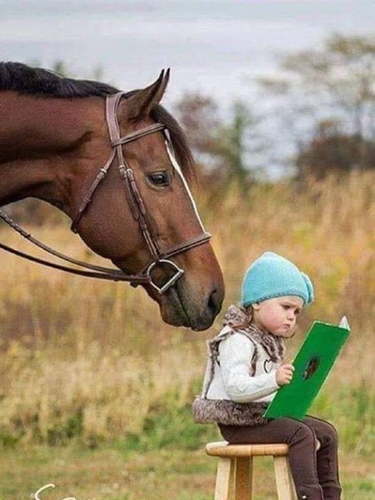 bonne lecture