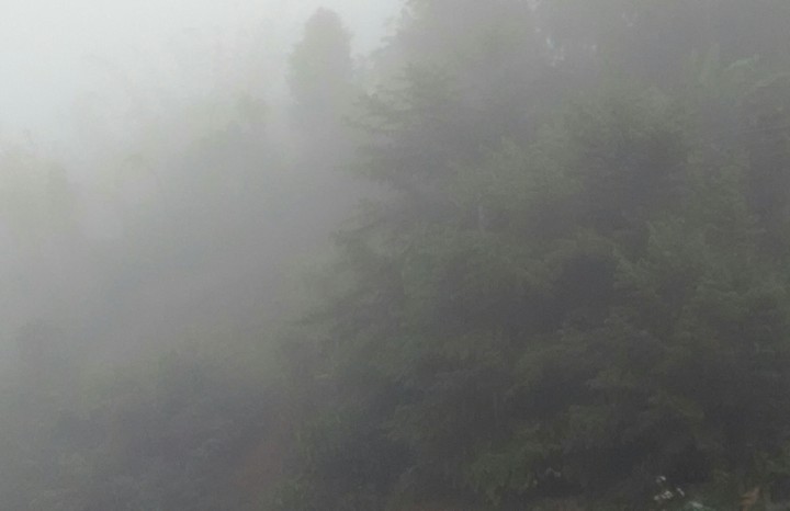 Foggy