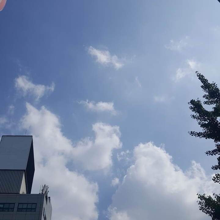 하늘