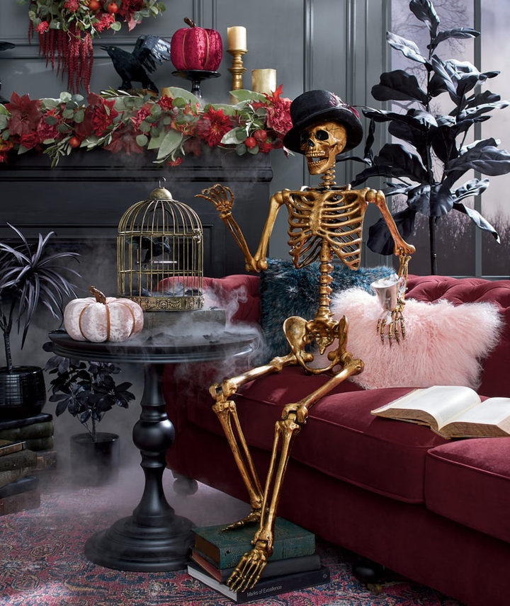 Mr SKELETON