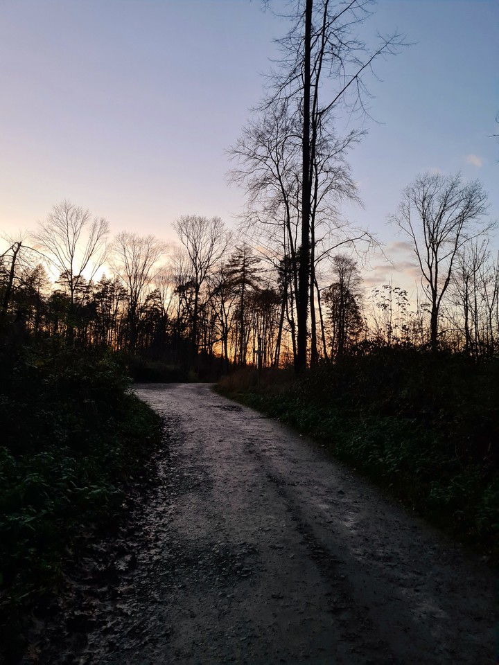 Wald