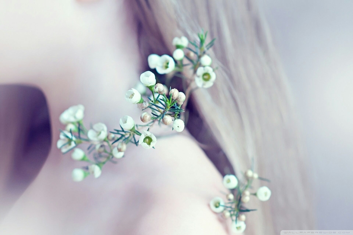 Delicate