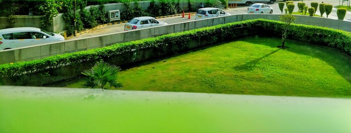Green space
