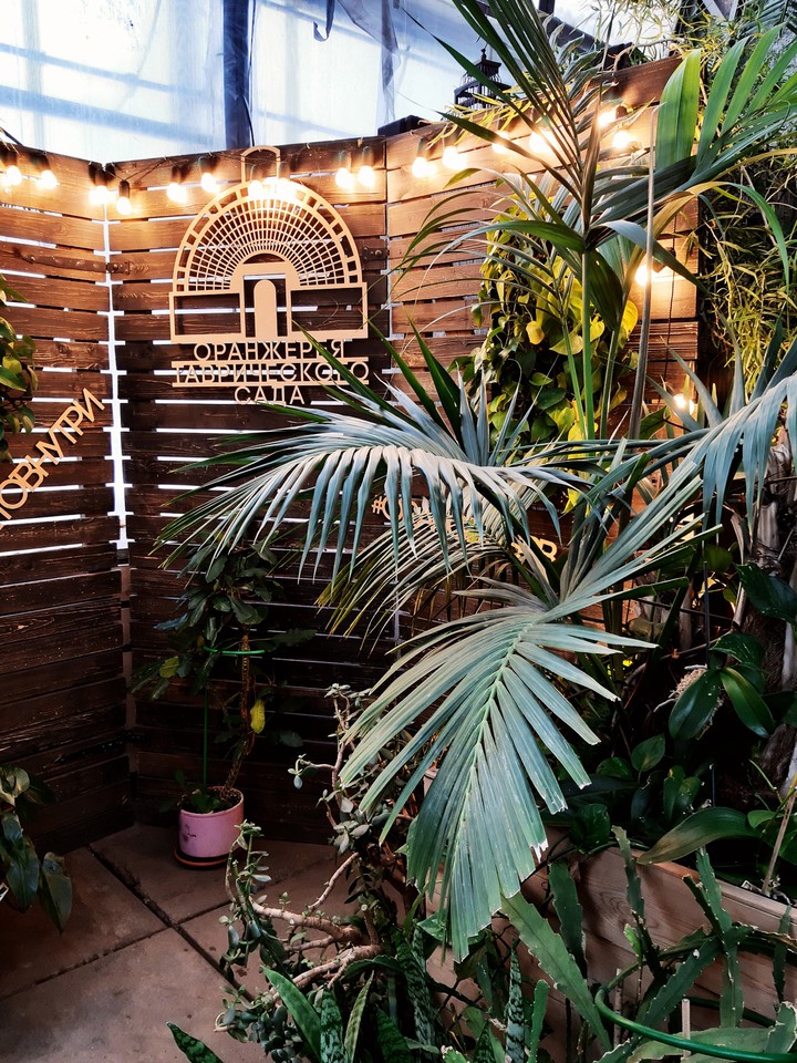 Tavrichesky garden greenhouse in St. Petersburg