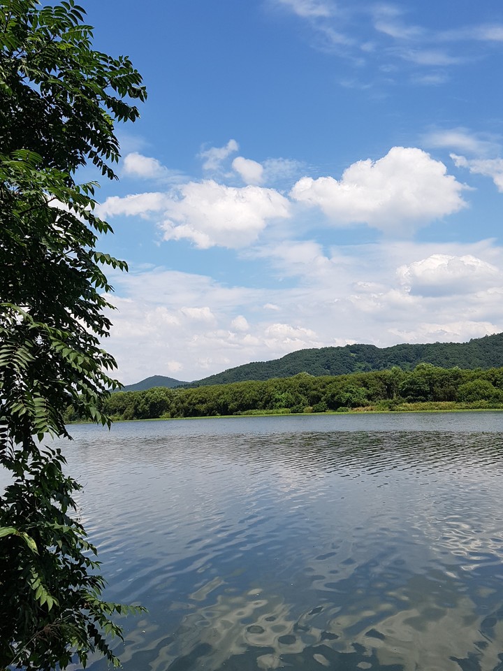 뱃터