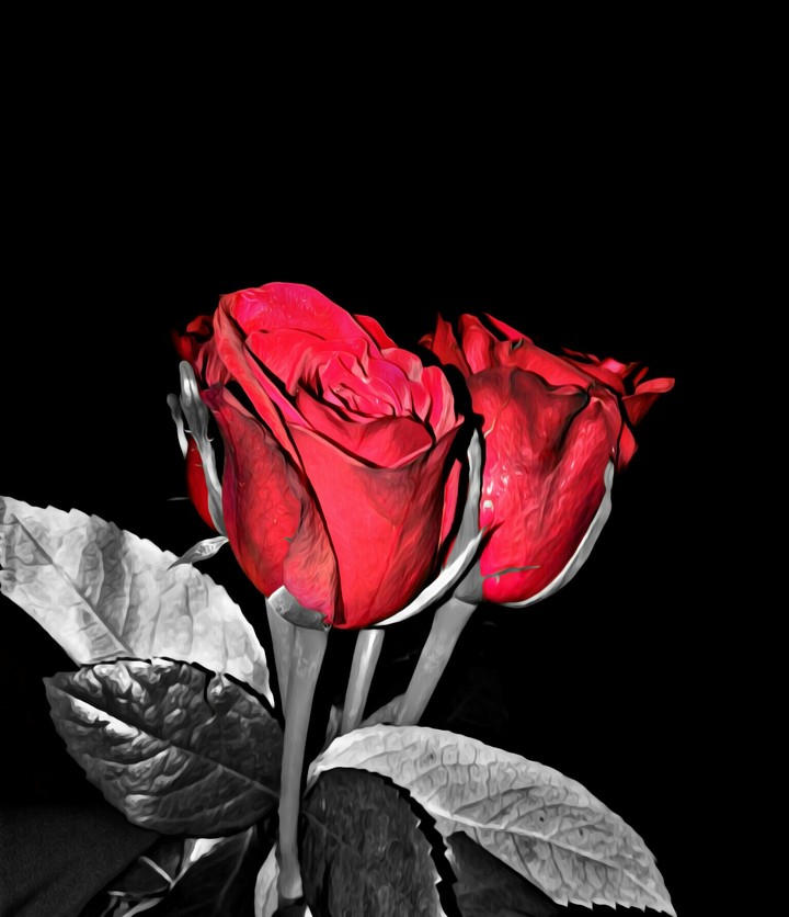 #HDR rosE