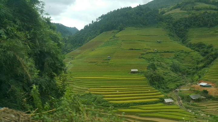 The vally
