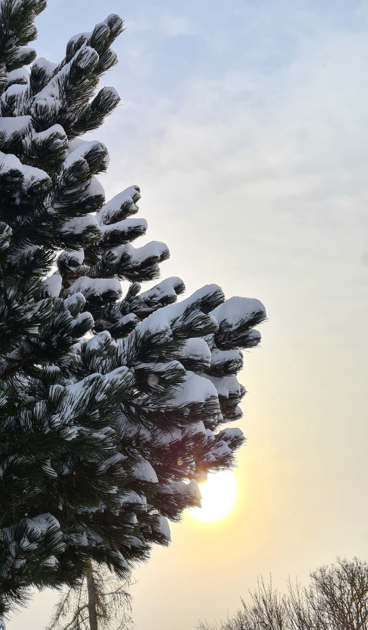 Wintersun