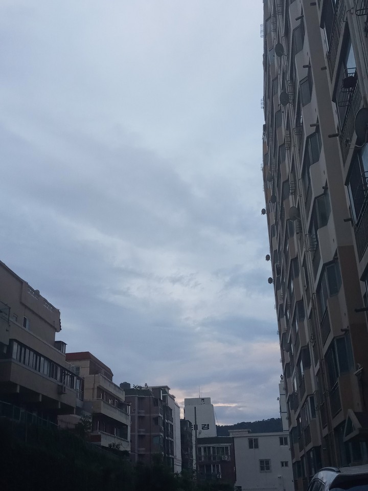 건물의 하늘