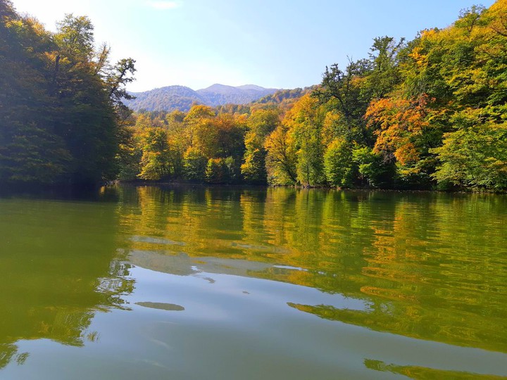 autumn colours