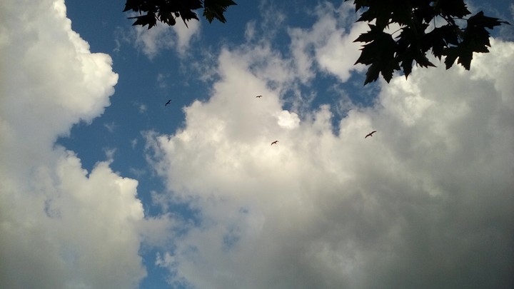 sky