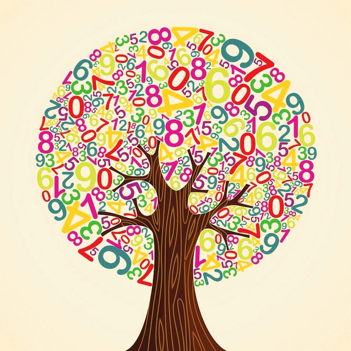 Tree of Numbers