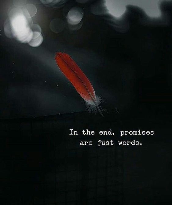 PROMISE ARE JUST WORD