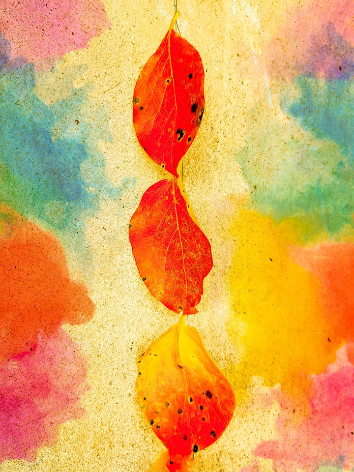 Vividness