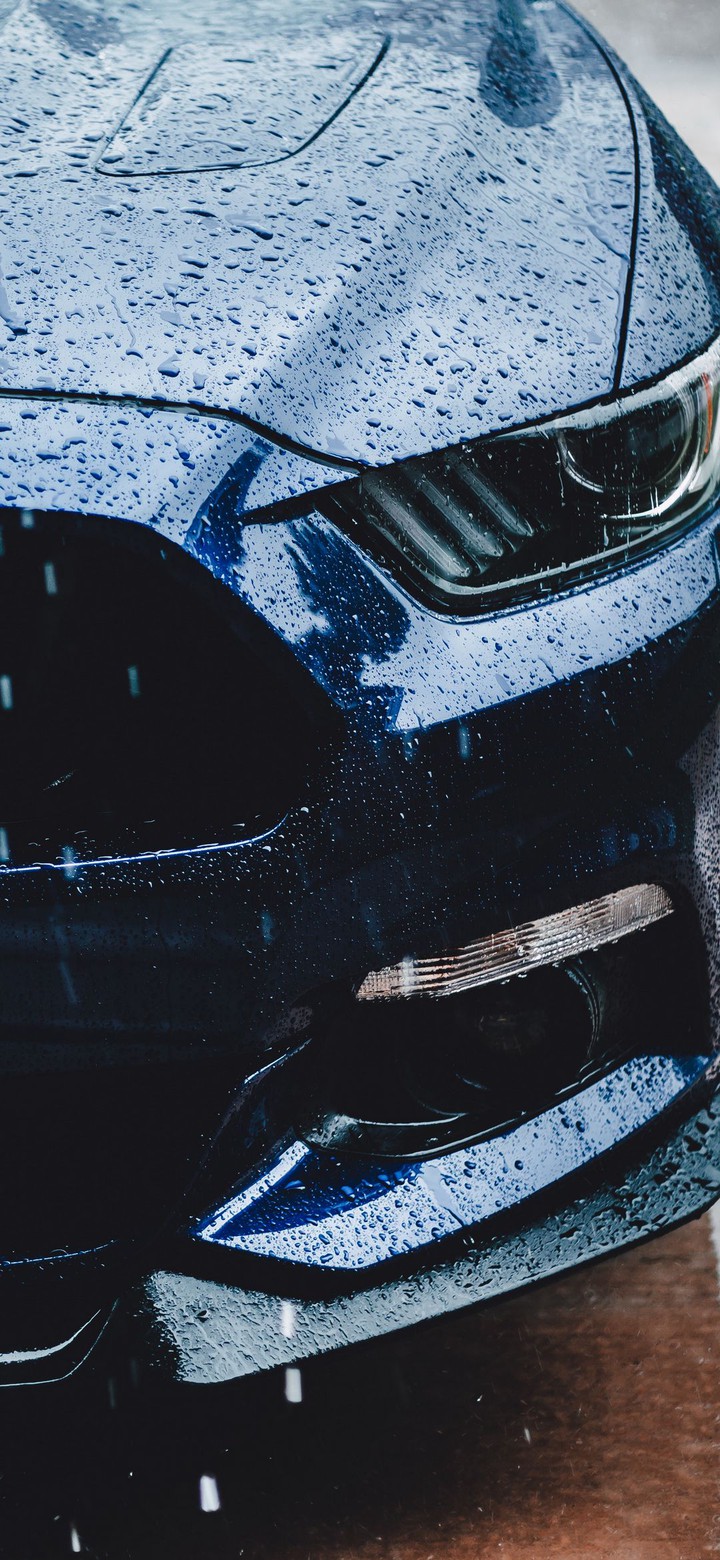 wallpaper