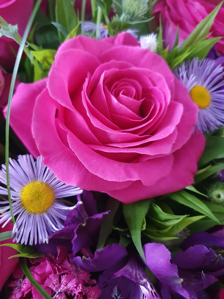 Queen of flowers