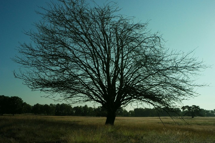 Morgenstunden