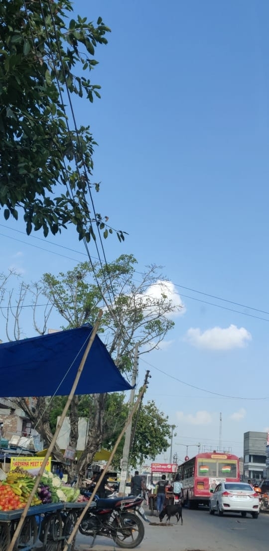 Sky