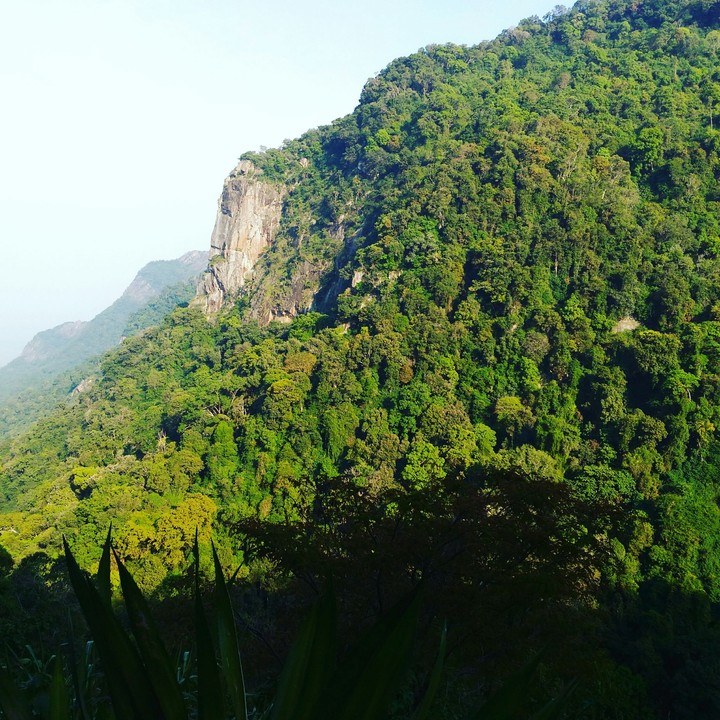 queen of hills ooty
