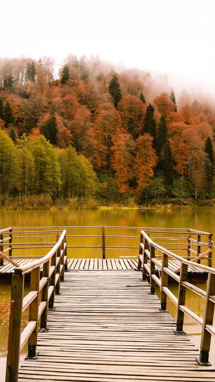 nature