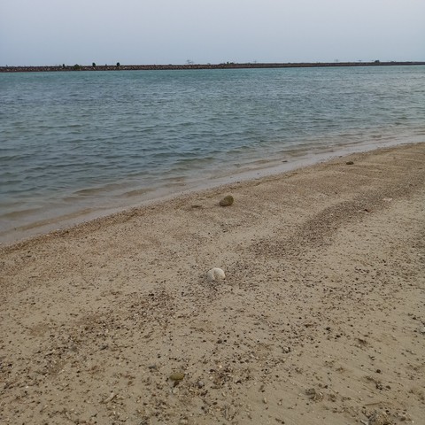 beach